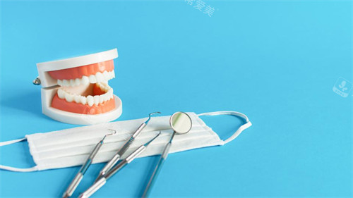 牙科模型图展示