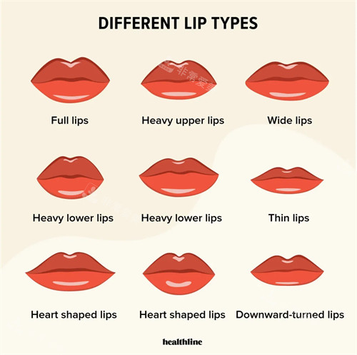 不同唇型展示图