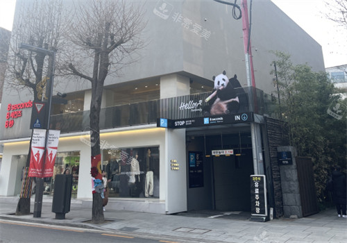 韓國林蔭大道街景 韓國林蔭大道街景