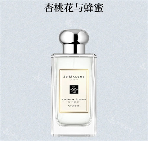 杏桃花與蜂蜜