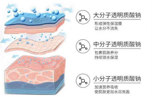 不同分子玻尿酸的作用图解