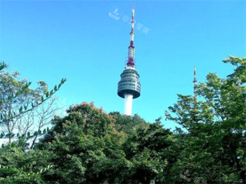 韓國(guó)南山塔春天景色