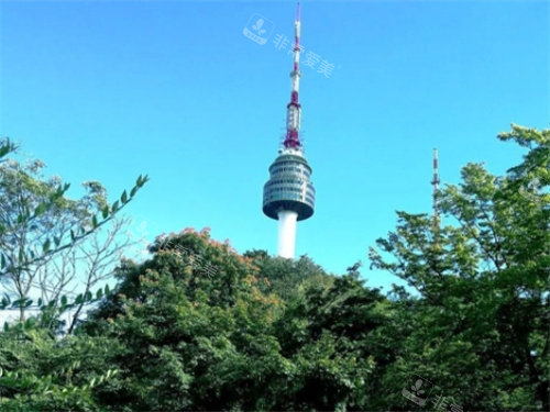 韓國南山塔春天景色