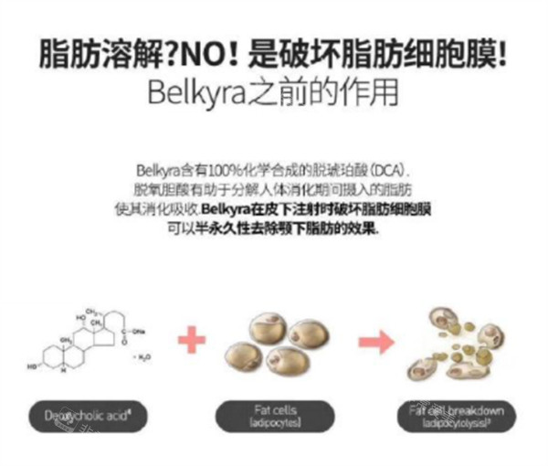 belkyra碎脂针原理图解
