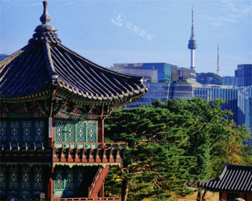 韩国景福宫环境图