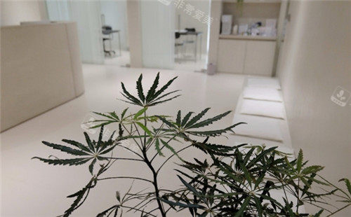 韓國三個心愿皮膚科休息區(qū).jpg