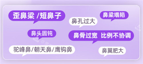 鼻部整形適應(yīng)癥圖示 鼻部整形適應(yīng)癥圖示