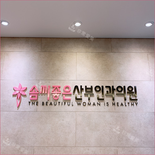 韩国好手艺妇科医院logo墙