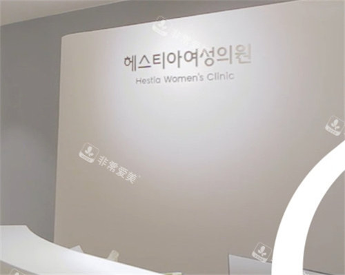 韩国HESTIA女性医院logo墙