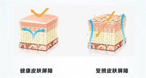 想了解韓國(guó)皮膚管理項(xiàng)目有哪些？我去做的LDM水滴提升太香了！大家一定要試試