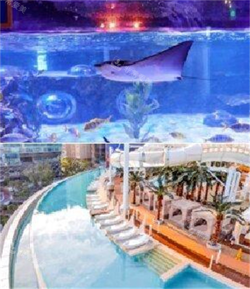 釜山旅游攻略-海洋館圖片 釜山旅游攻略-海洋館圖片