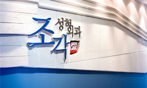 韩国雕刻整形医院logo图