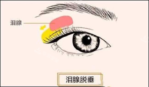 南阳爱贝尔医疗美容怎么样?柳源做眼鼻整形出名,苏诉做针剂注射/抗衰提升口碑好!