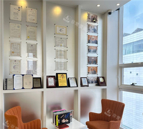 韓國MD整形展示區(qū)域圖 韓國MD整形展示區(qū)域圖