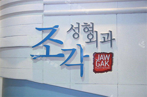 韩国雕刻整形外科logo墙