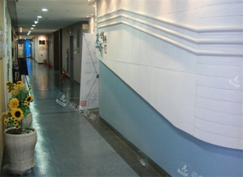 韩国雕刻整形外科大厅环境