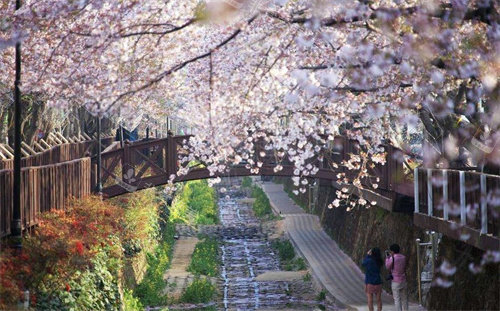 韓國首爾住宿攻略民宿：首爾站/汝矣島/梨大附近推薦的民宿！