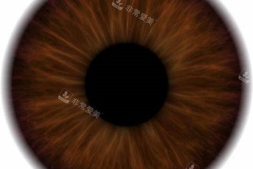 暗瞳 暗瞳