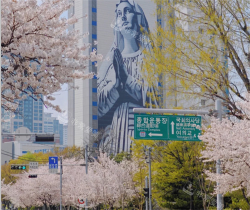 分享三个韩国不需要门票的免费旅游景点:汝矣岛公园/北村韩屋村/清溪川广场!