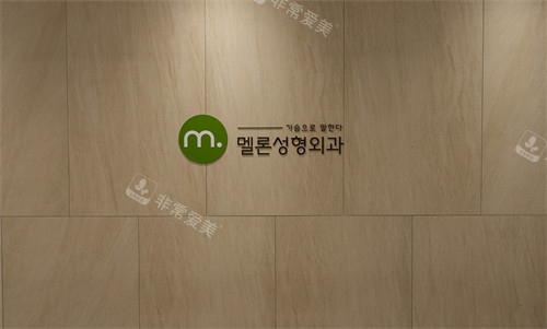 韩国Melon整形外科logo