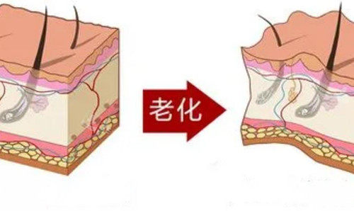 韩国特秀恩碧皮肤科医院好吗?速来看看特秀恩碧在韩国属于什么档次皮肤科吧~