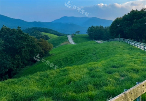 江陵大關(guān)嶺羊牧場景色