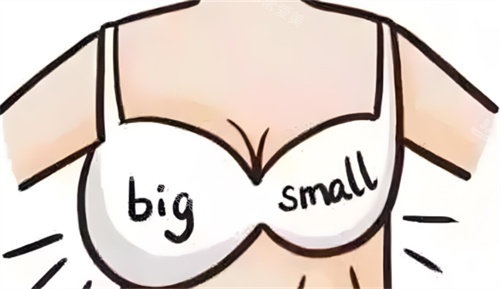 乳房大小对比