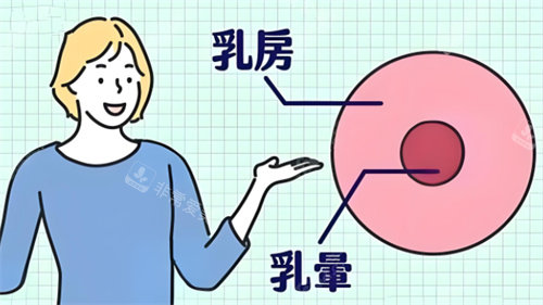 感觉乳晕变小了！乳晕大是怎么回事？看我的“缩小”全记录