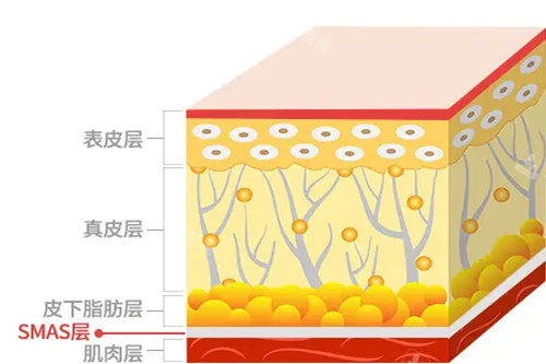 韩国江南La Reine皮肤科怎么样?打玻尿酸/激光提升/洗纹身都做得好,附简介介绍!