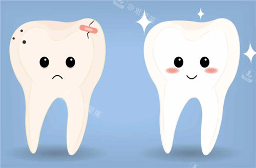 健康牙齿和问题牙齿