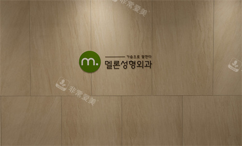韓國Melon整形外科logo 韓國Melon整形外科logo