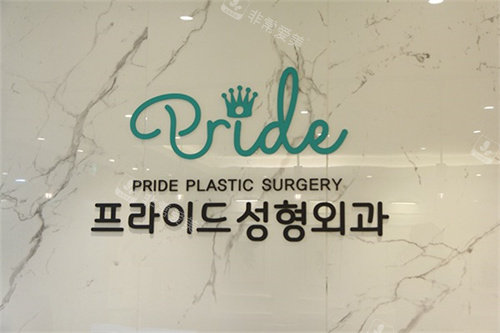 韩国PRIDE整形logo图