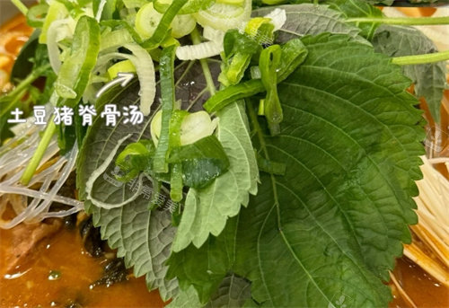 土豆脊骨湯