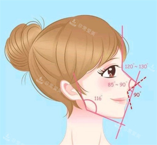 韓國(guó)eve整形醫(yī)院官網(wǎng)簡(jiǎn)介資料查詢?nèi)肟?戳進(jìn)來查詢地址+醫(yī)生+項(xiàng)目信息~