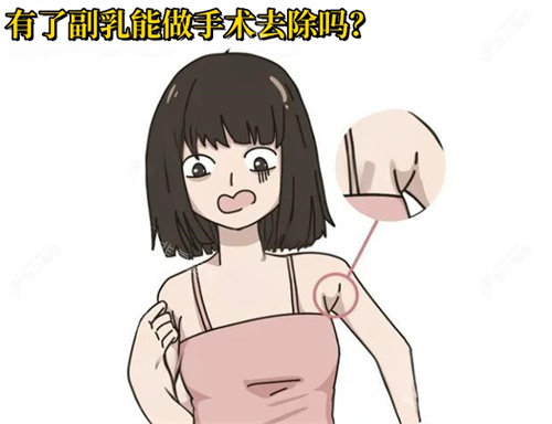 有了副乳能做手術(shù)去除嗎？動(dòng)畫圖
