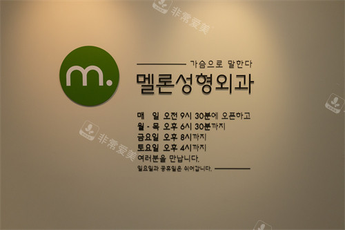 韓國Melon整形外科logo 韓國Melon整形外科logo