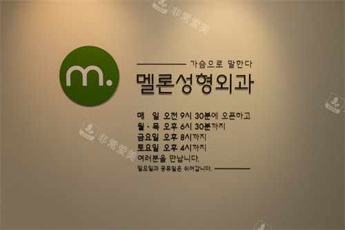 韩国Melon整形外科logo