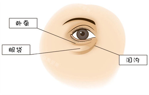 眼周問題圖