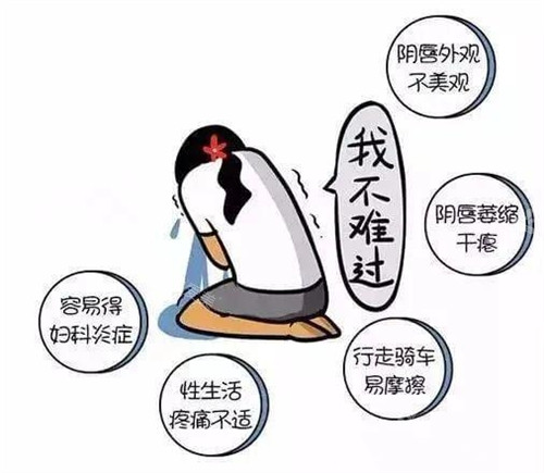 陰唇肥大出現(xiàn)的問(wèn)題演示動(dòng)畫(huà)圖
