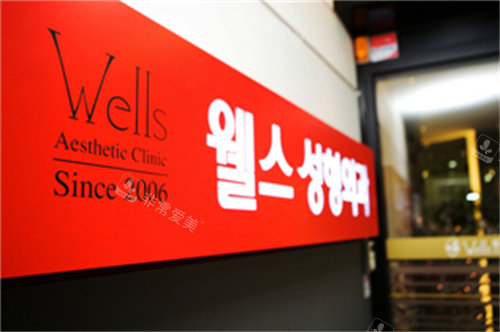 韩国WELLS皮肤科LOGO