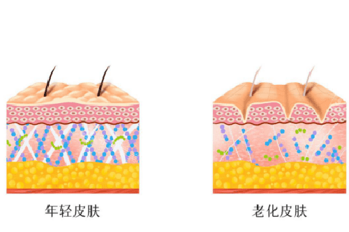 韩国bioface皮肤科医院如何？做医美bioface皮肤科医院怎么样？