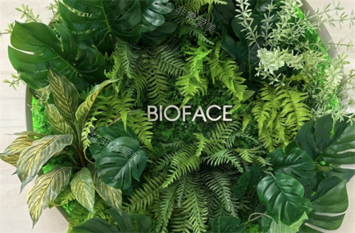 韓國(guó)bioface皮膚科logo墻