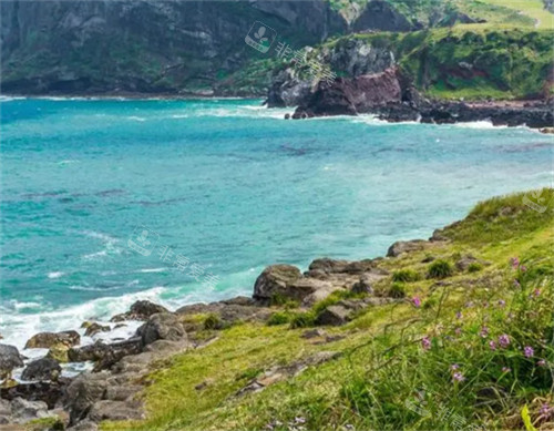 海岛快乐谁懂呀!快来看看韩国济州岛暑期旅游怎么样~