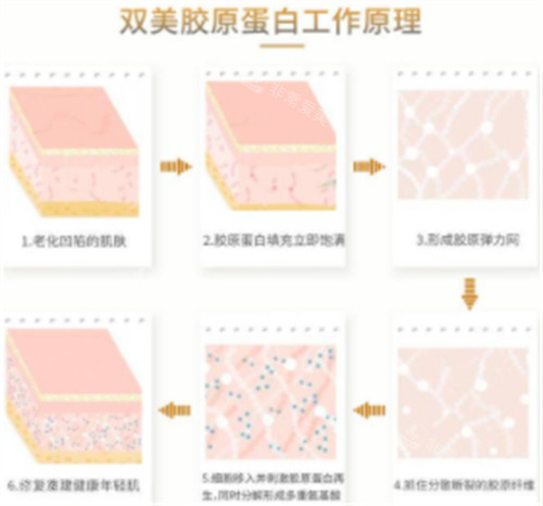 韩国Cellpia皮肤科怎么样？是韩国人常去打玻尿酸/皮肤管理的皮肤科