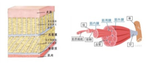 韩国皮肤科titanium钛提升激光怎么样？我的初体验感受分享！