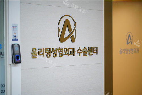 allliting整形外科logo allliting整形外科logo