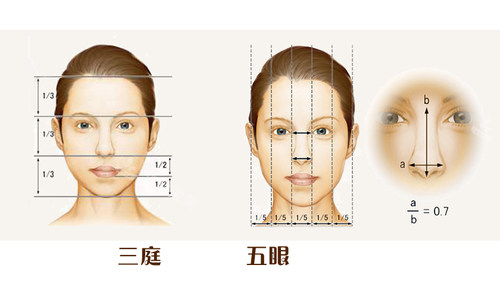 三庭五眼的比例