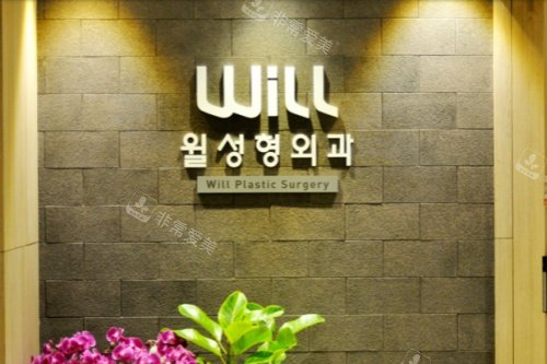 韓國WILL整形外科招牌 韓國WILL整形外科招牌