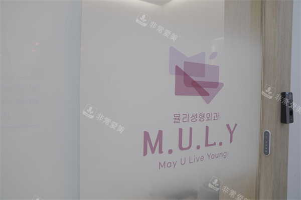 韓國MULY整形外科環(huán)境一角 韓國MULY整形外科環(huán)境一角
