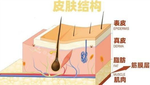 在线等:韩国哪家能做...